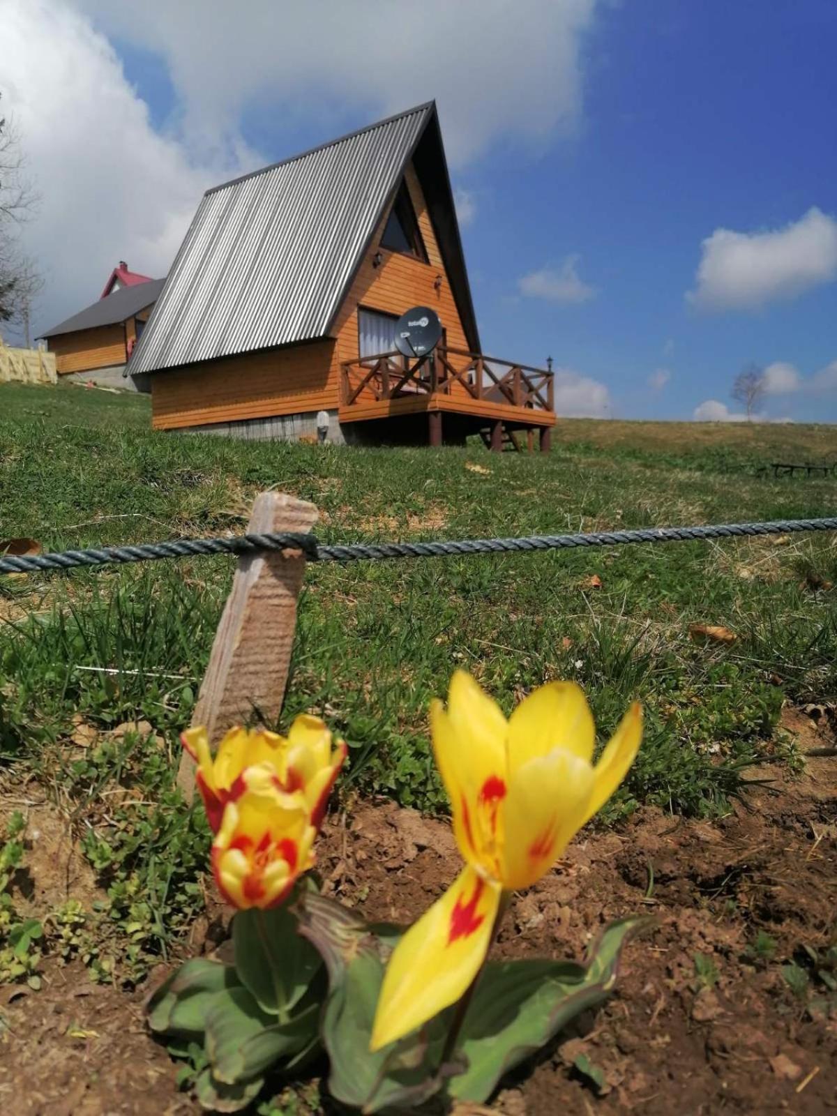 Koliba Luca Smrcevo Brdo Villa Zabljak  Ngoại thất bức ảnh
